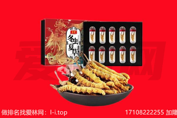 保定定兴县回收虫草.jpg